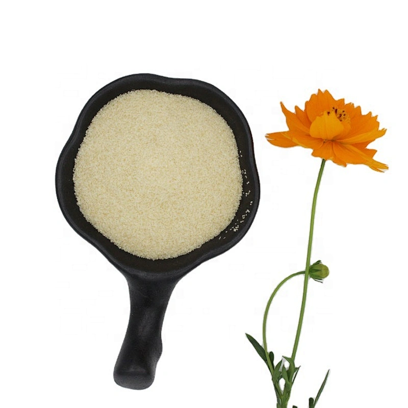 Halal Food Additive Beef Pharmaceutical Grade Gelatin Manufacturer